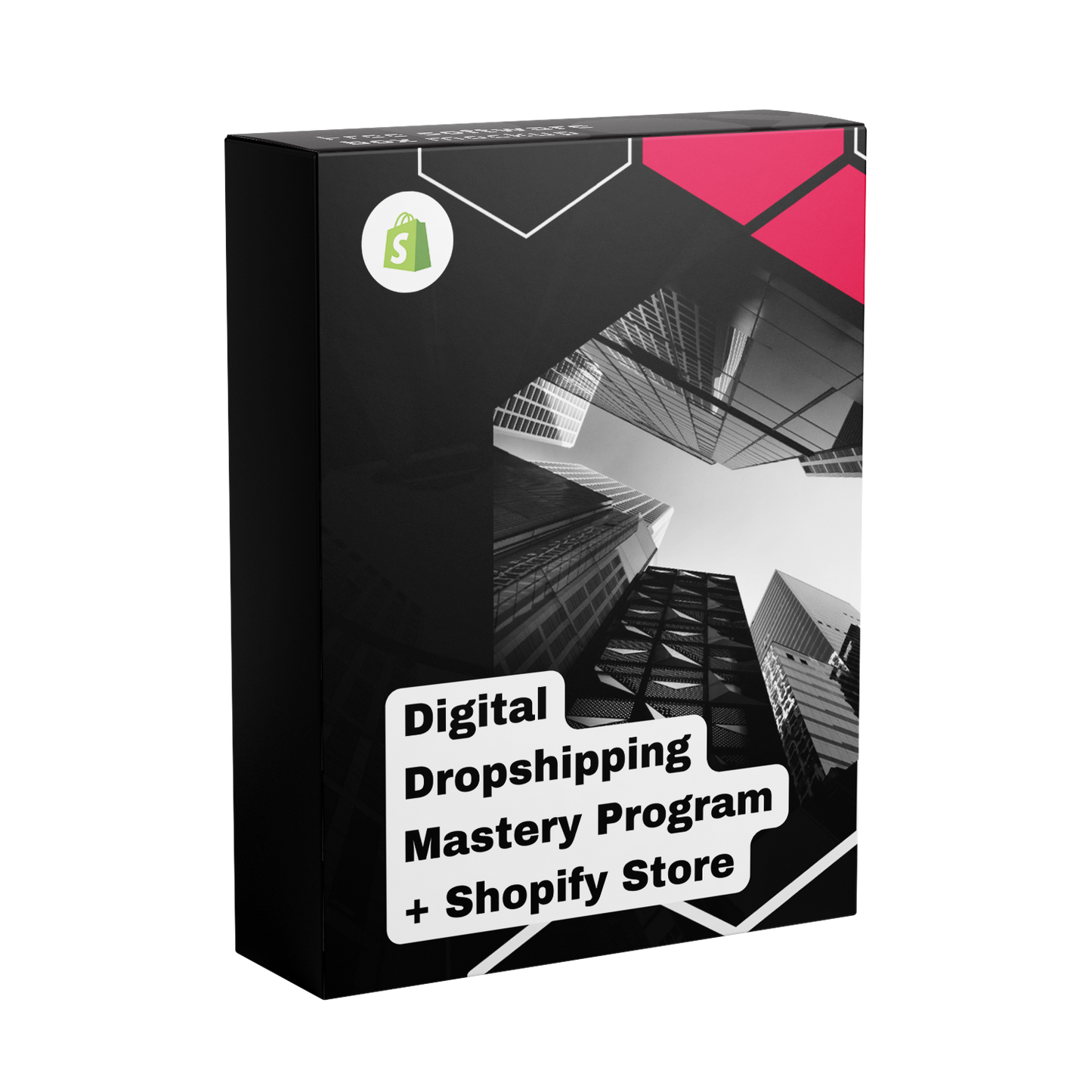 Digital Dropshipping Mastery Program + Shopify Store